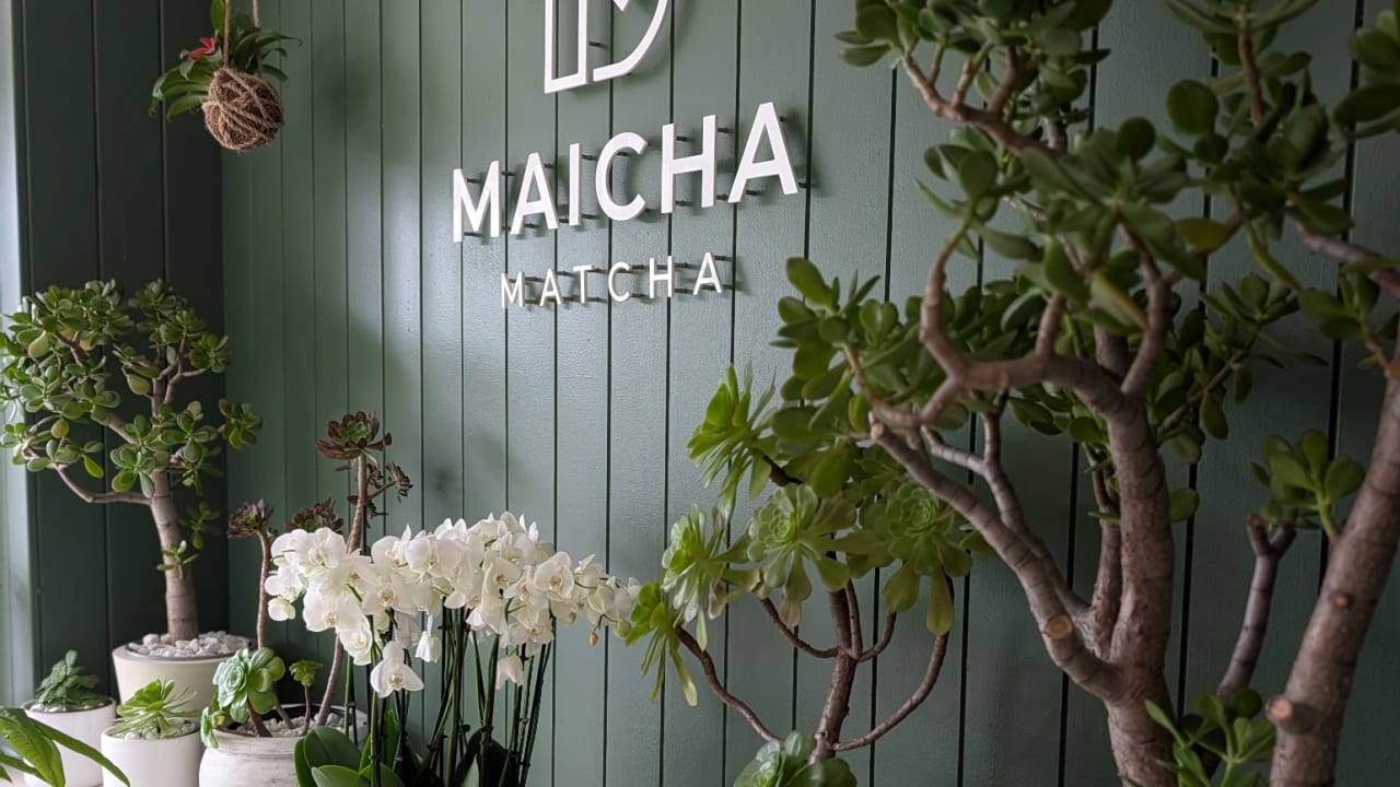 Maicha Matcha - Photo 4