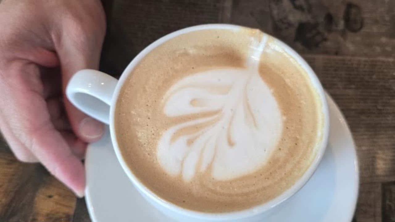 Just Love Coffee Cafe - McEwen - Photo 3