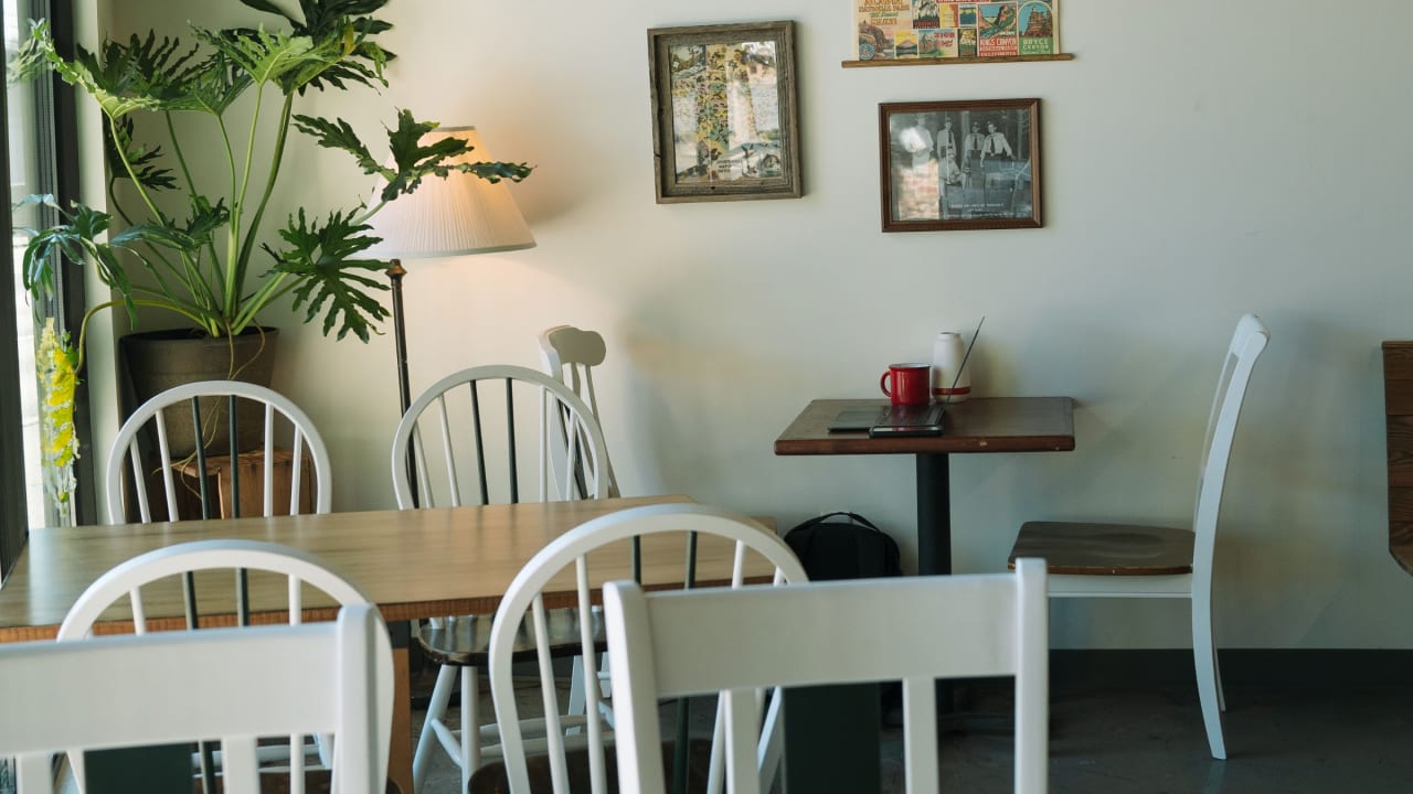Primitive Coffee Company β matcha shop interior or drinks