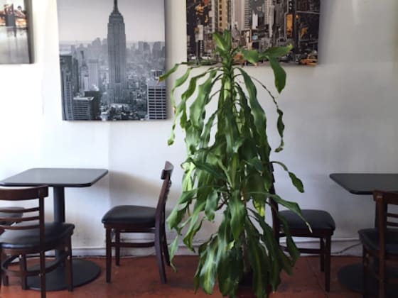 Cafe La Flore Irving - Sunset District