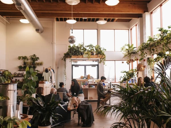 Andytown Coffee Roasters - Outer Richmond