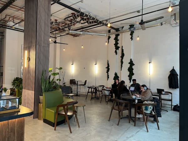 Beepublic - Brooklyn Heights