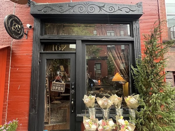 Flower Cat - Greenpoint