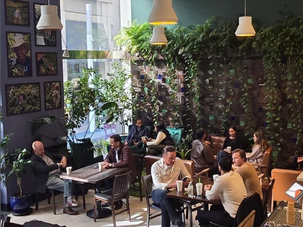 Coffee Bodega Farm-to-Table - Financial District