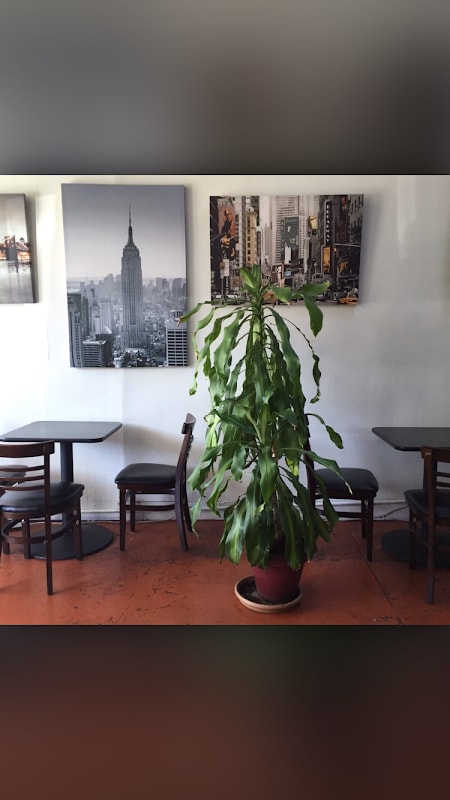 Cafe La Flore Irving thumbnail