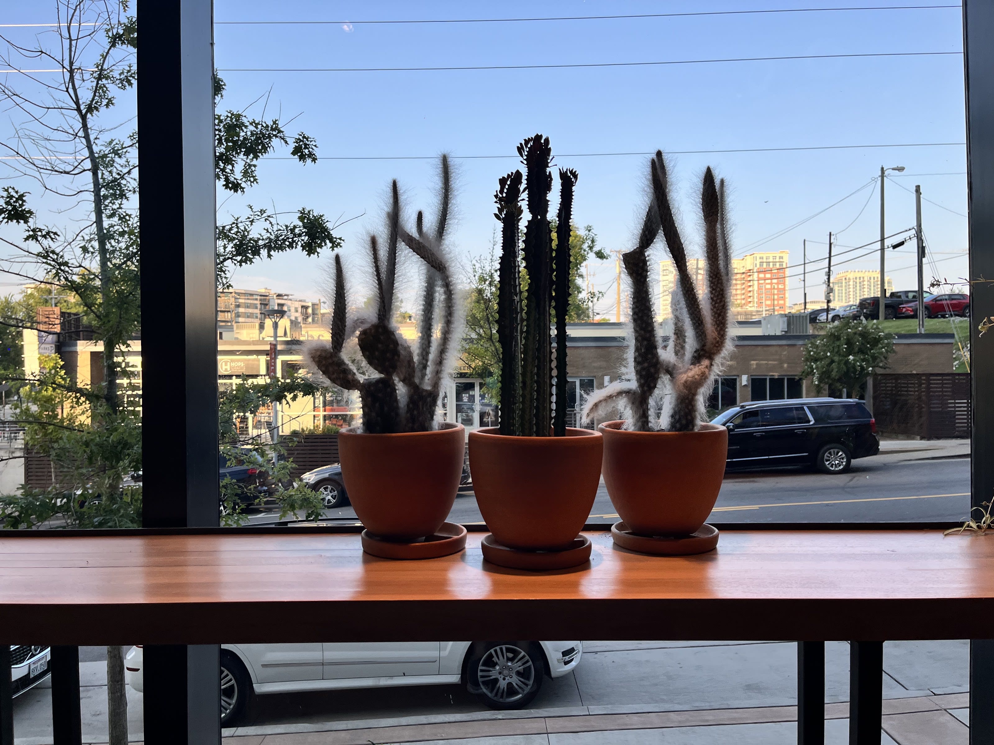 Barista Parlor W Nashville thumbnail