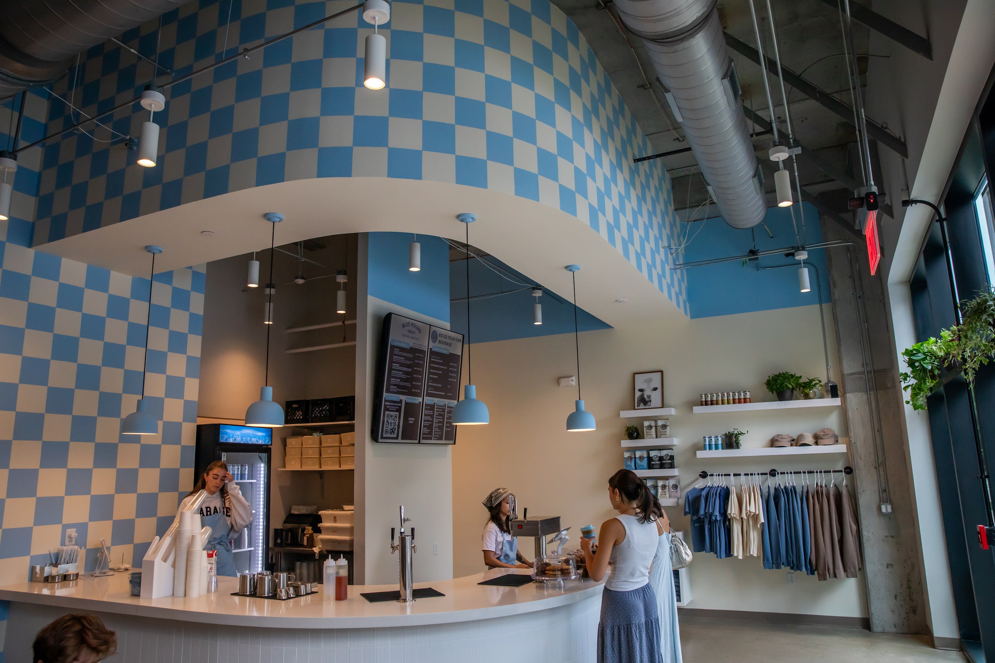 Blue Hound Brew Coffee Company thumbnail
