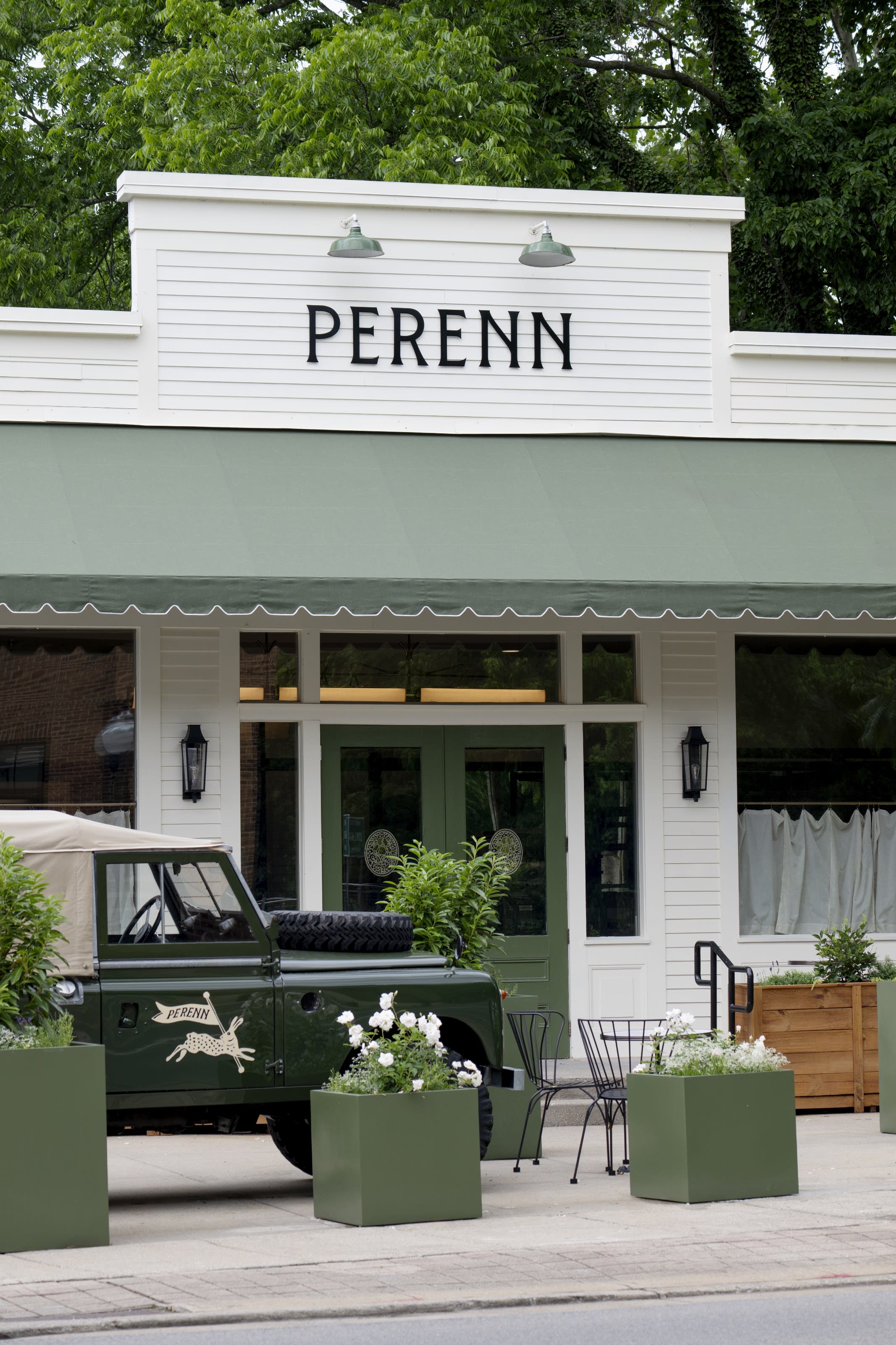 Perenn - Franklin thumbnail