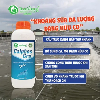 CALPHOS GRO 3
