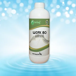 WORK 80