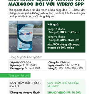 Khả năng kháng khuẩn của Max4000 đối với vi khuẩn Vibrio spp.