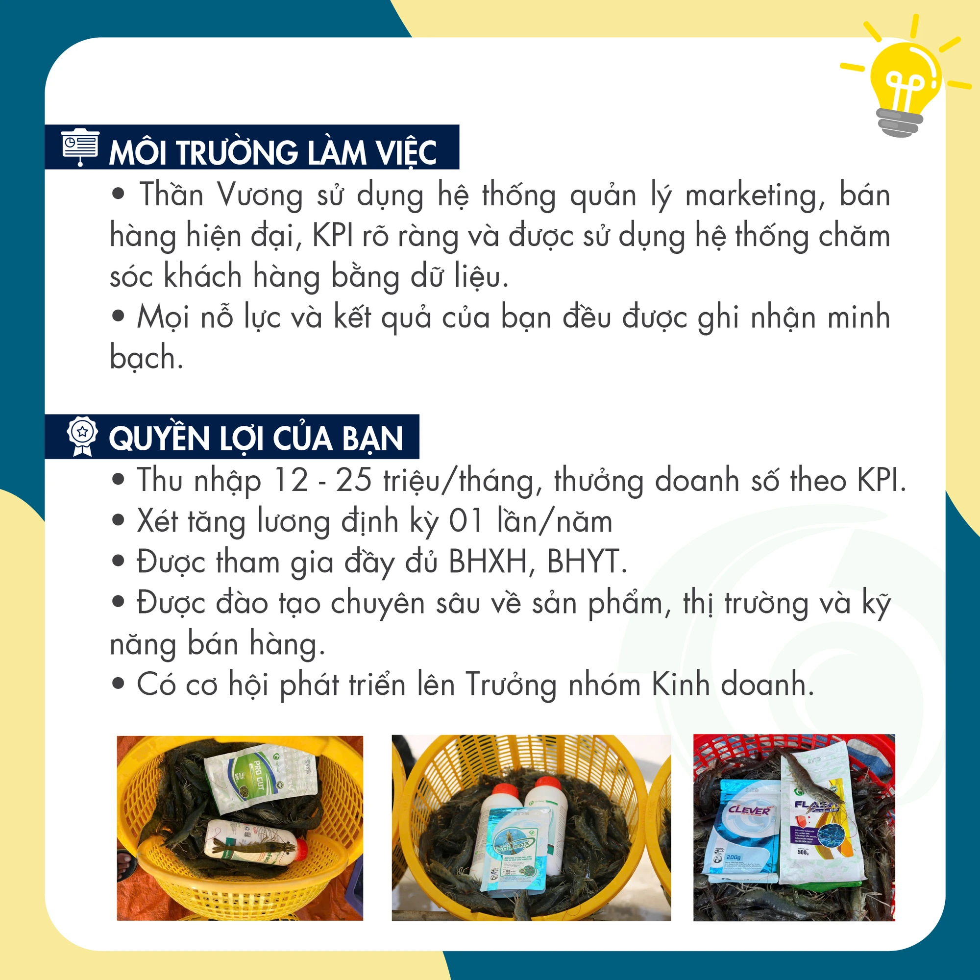 NHÂN VIÊN KINH DOANH ONLINE — poster 3