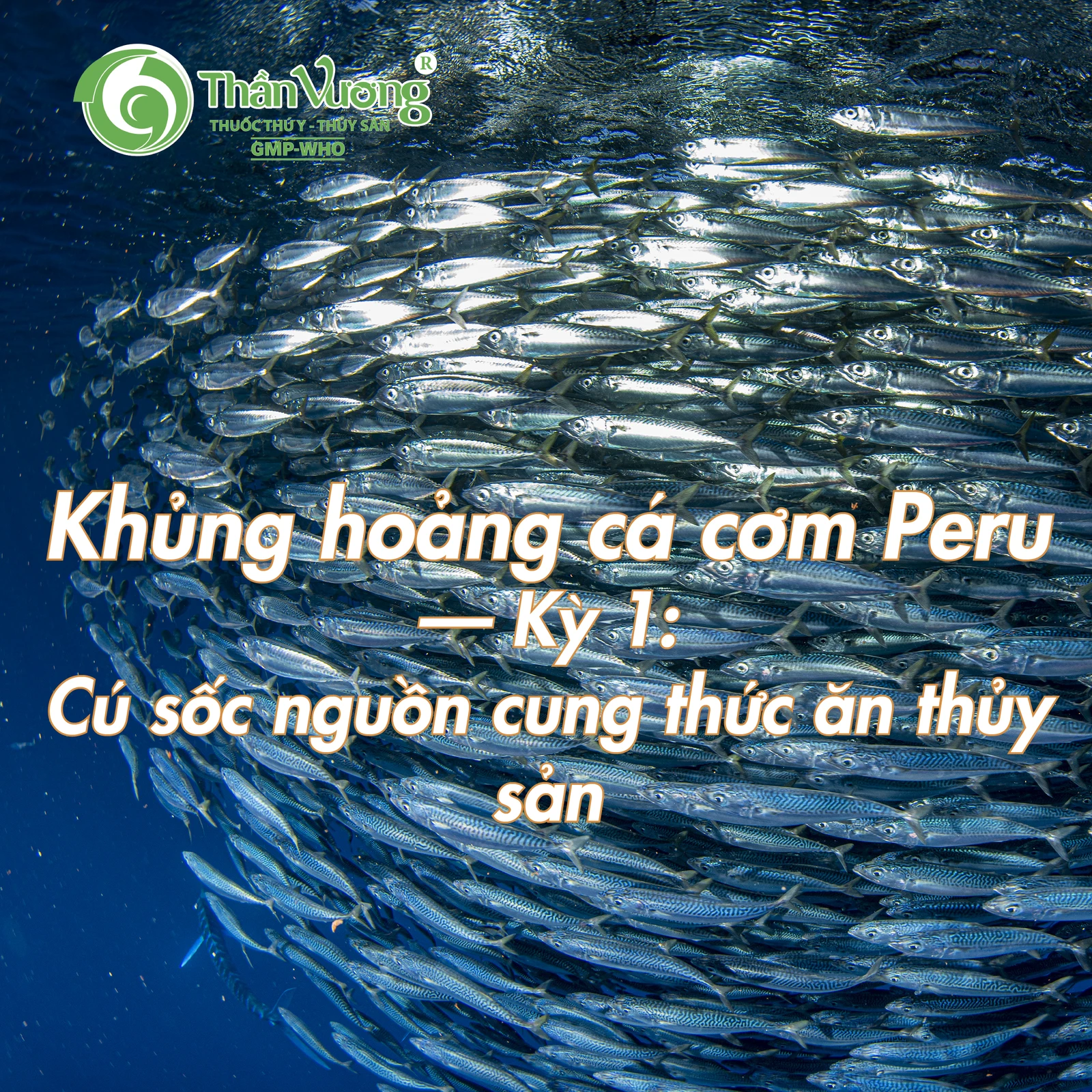 Khủng hoảng cá cơm Peru — Kỳ 1: Cú sốc nguồn cung thức ăn thủy sản