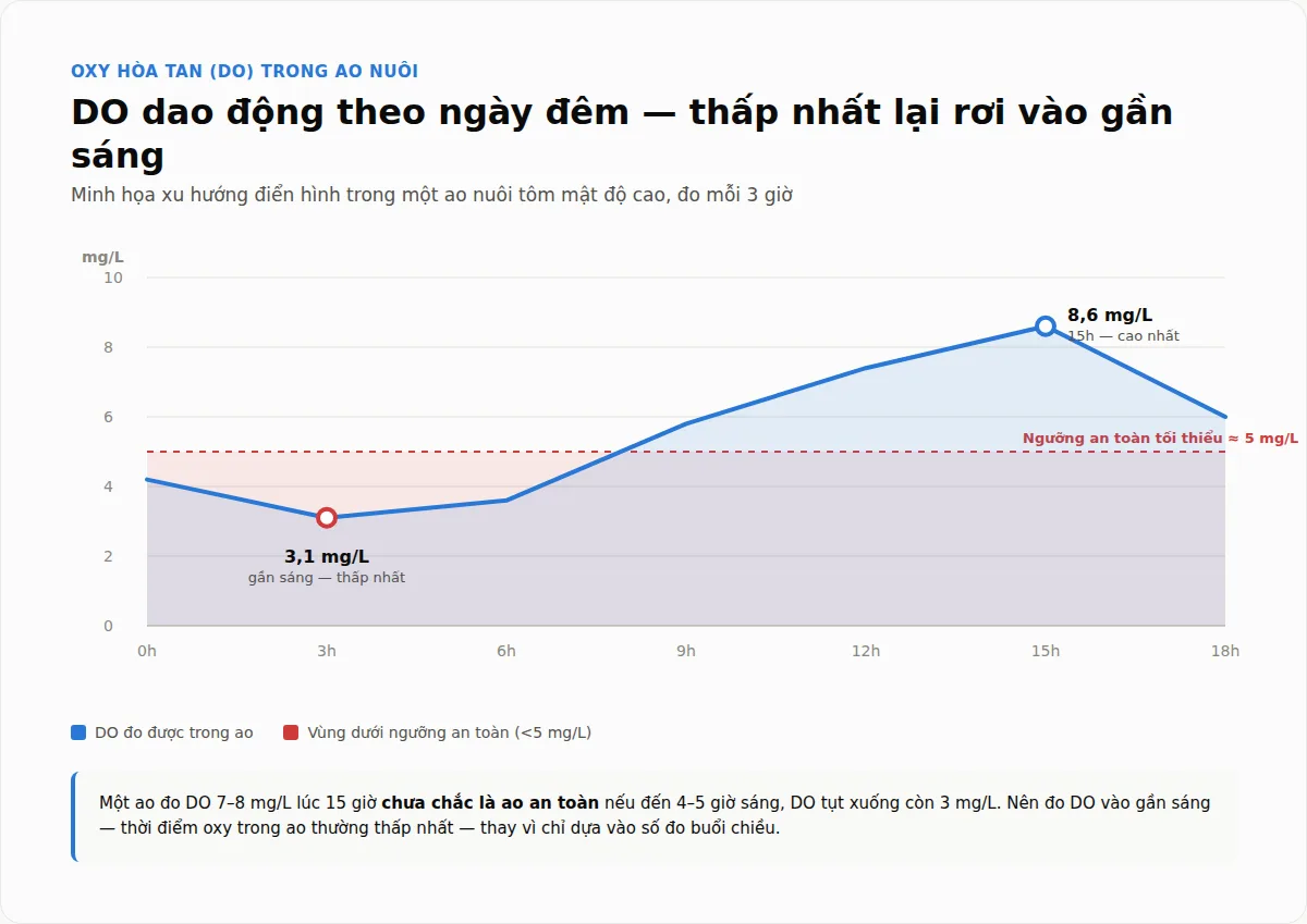 Biểu đồ oxy hòa tan (DO) dao động ngày đêm trong ao tôm, thấp nhất gần sáng