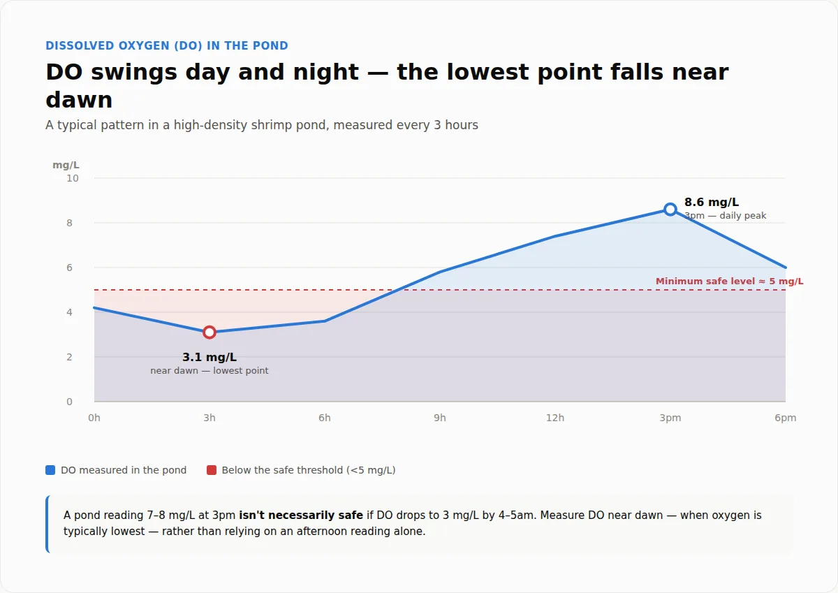Dissolved oxygen (DO) swinging day and night in a shrimp pond, lowest near dawn
