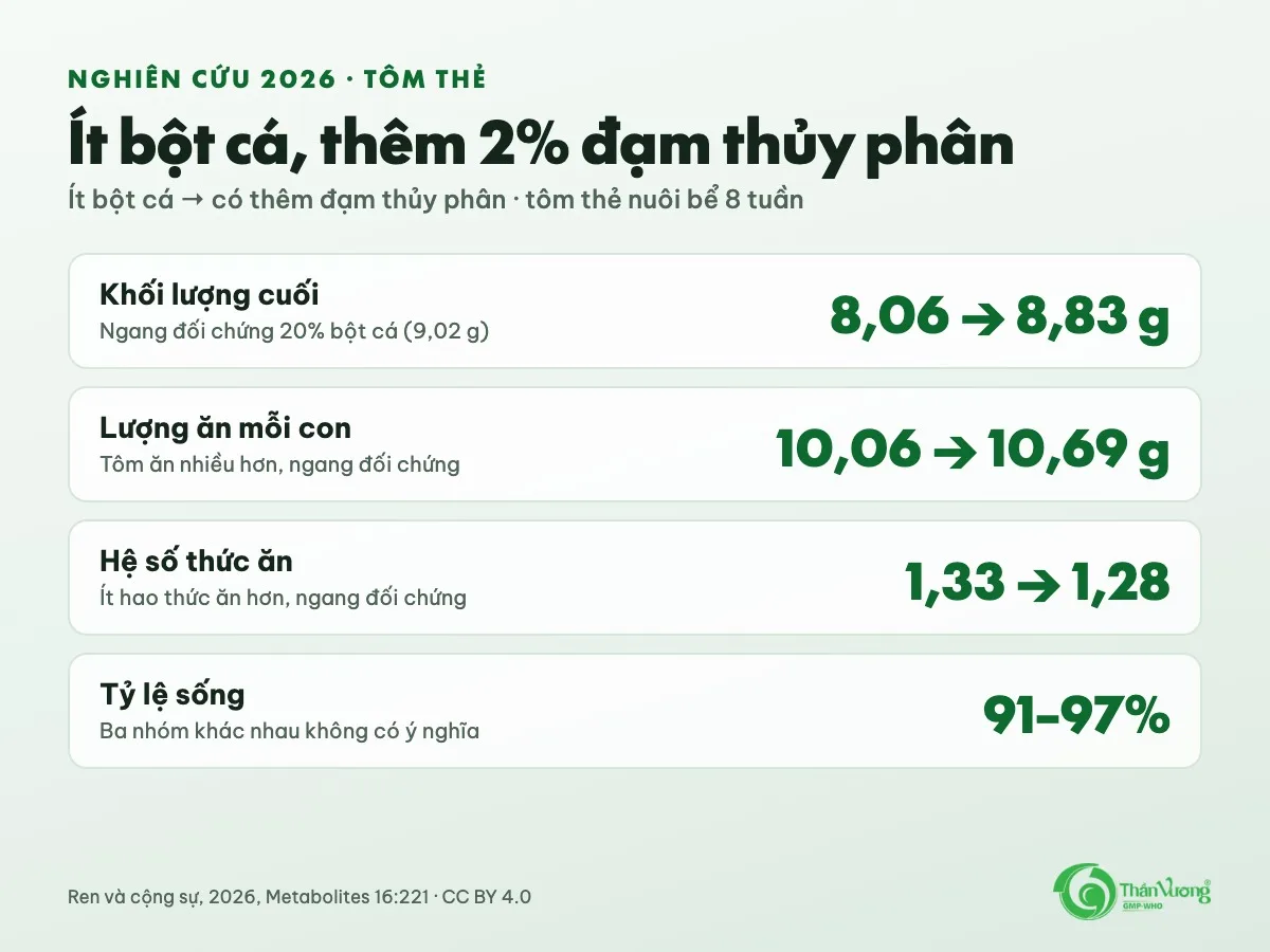 Tóm tắt kết quả: thêm 2% đạm thủy phân vào thức ăn ít bột cá