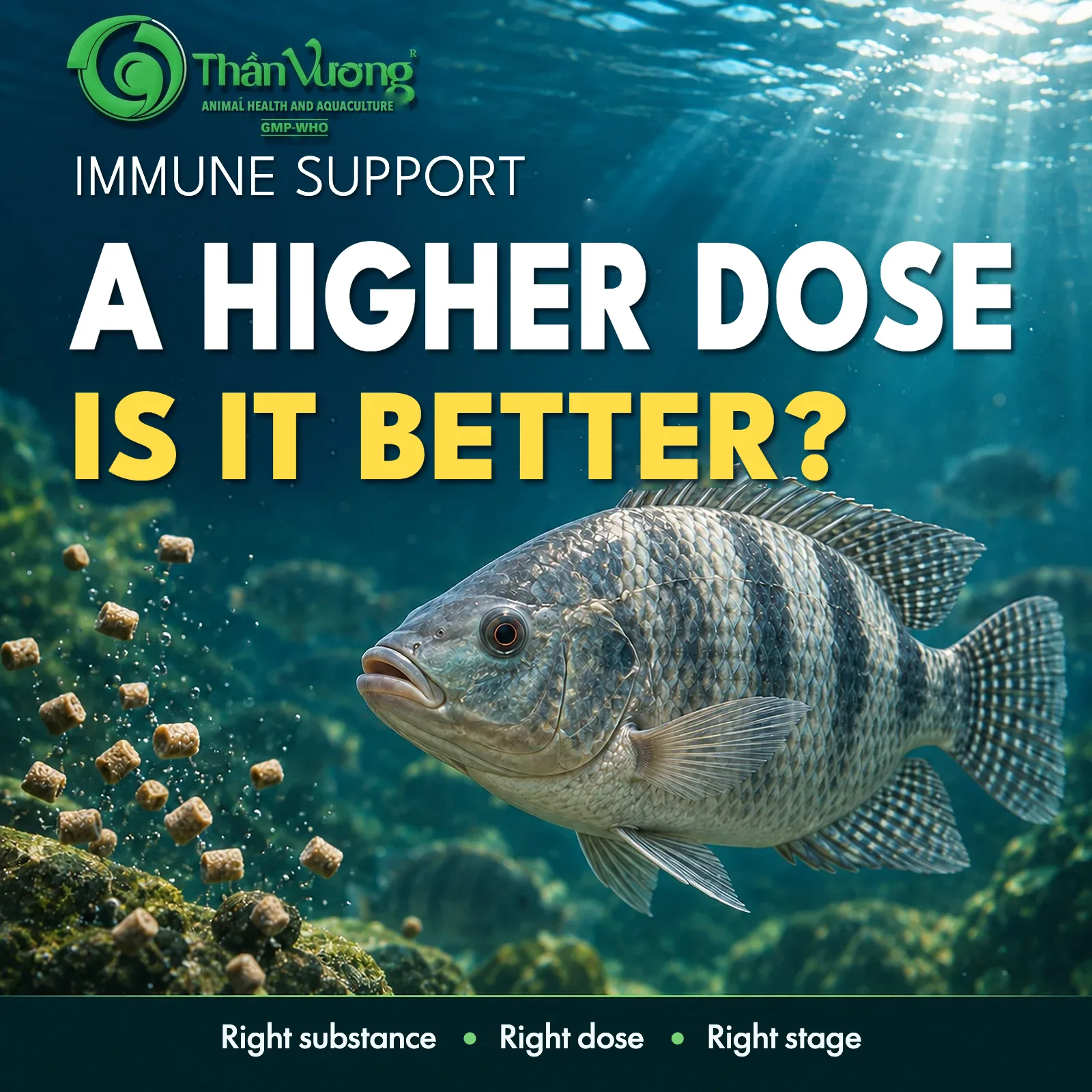 Immune Support for Fish: Why a Higher Dose Isn't Always Better?