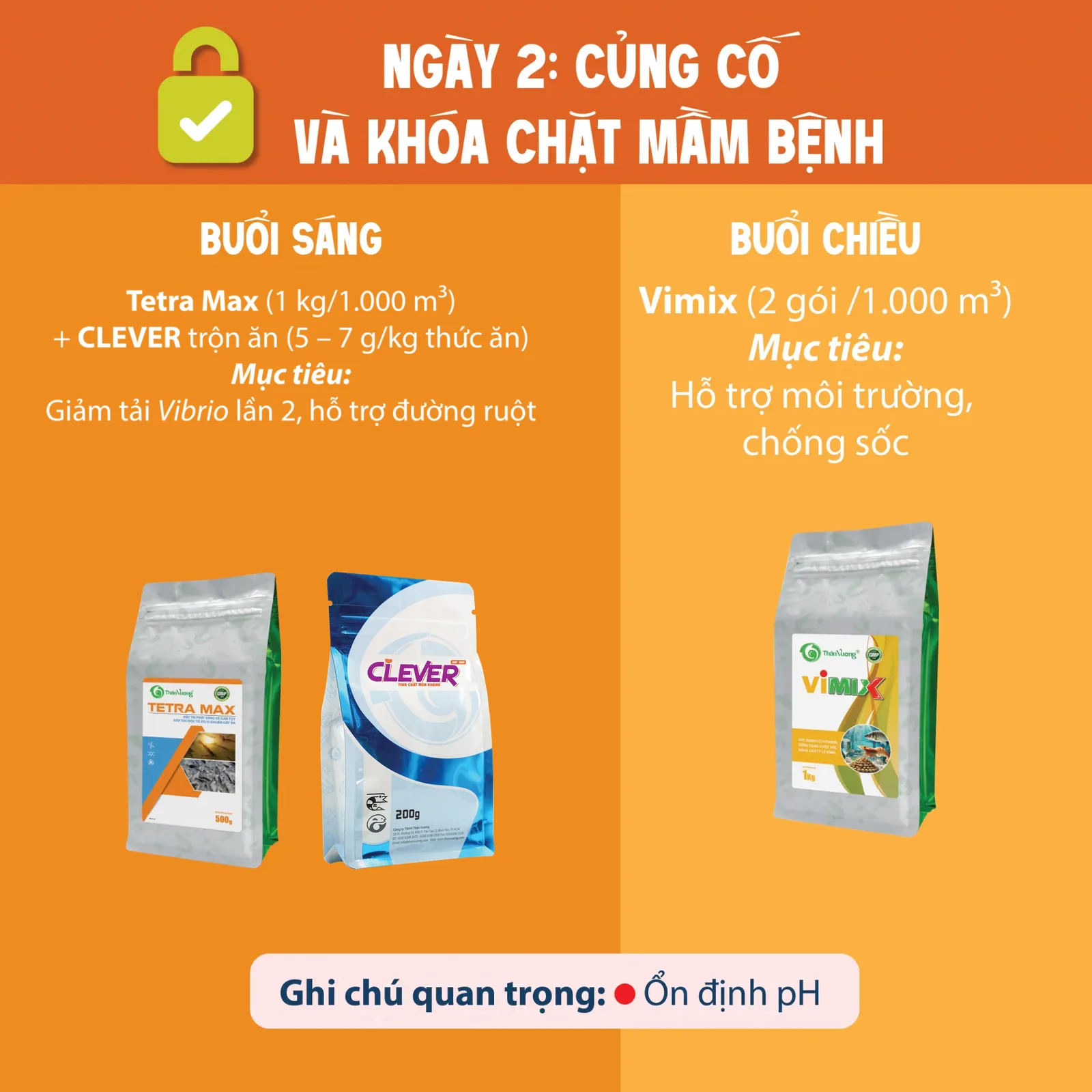 PHAC_YY_YIYU_TRY_BYNH_TPD_VA_PHYC_HYI_TOM-02