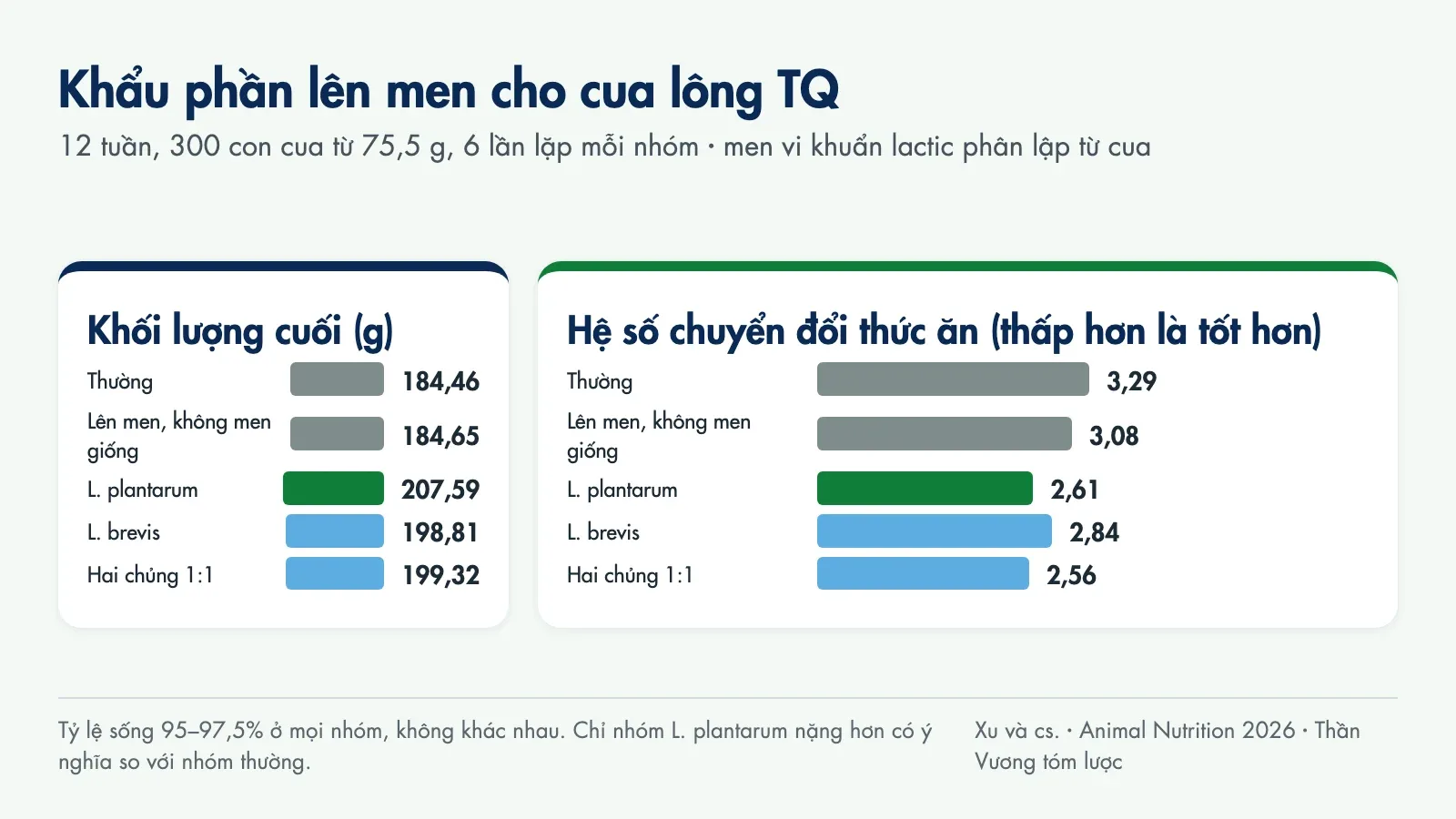 Biểu đồ khối lượng cuối và FCR của năm nhóm khẩu phần: nhóm L. plantarum đạt 207,59 g và FCR 2,61, nhóm thường 184,46 g và FCR 3,29