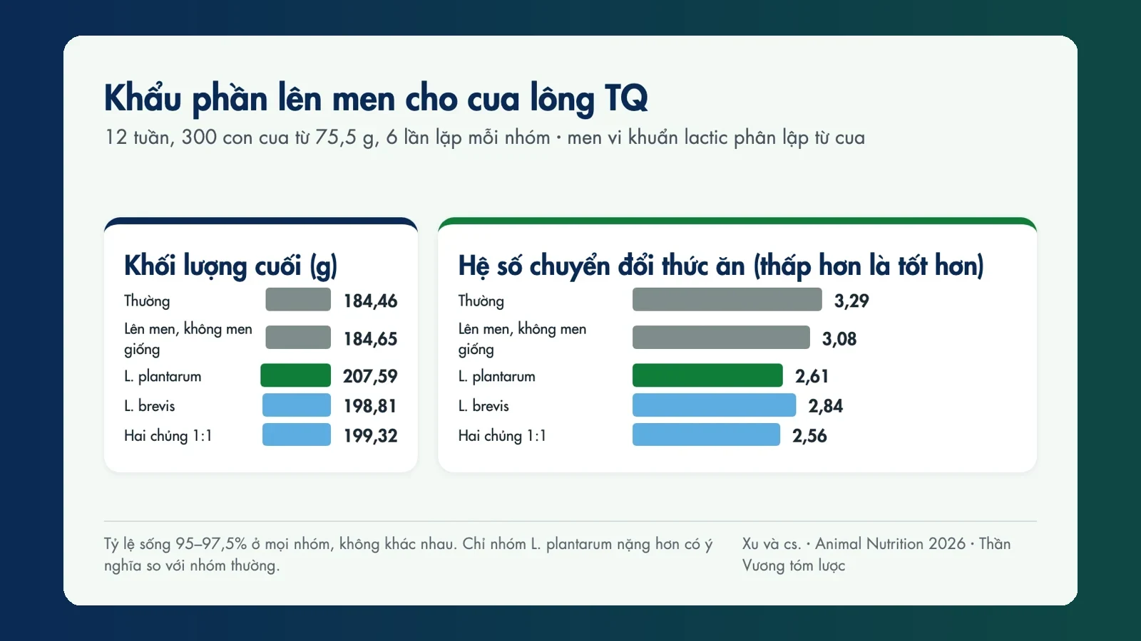 Khẩu phần lên men bằng vi khuẩn lactic phân lập từ cua: cua lớn nhanh hơn, dùng thức ăn hiệu quả hơn sau 12 tuần