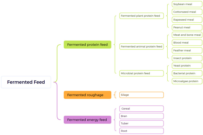 Figure 2. The common categories of fermented feed.