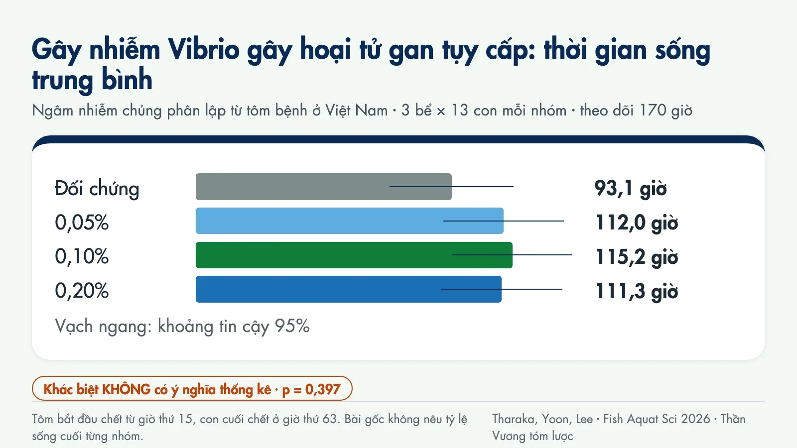 Biểu đồ thời gian sống trung bình sau gây nhiễm Vibrio gây hoại tử gan tụy cấp: đối chứng 93,1 giờ, 0,05% tributyrin 112,0 giờ, 0,10% 115,2 giờ, 0,20% 111,3 giờ; khoảng tin cậy chồng lên nhau, khác biệt không có ý nghĩa thống kê, p = 0,397