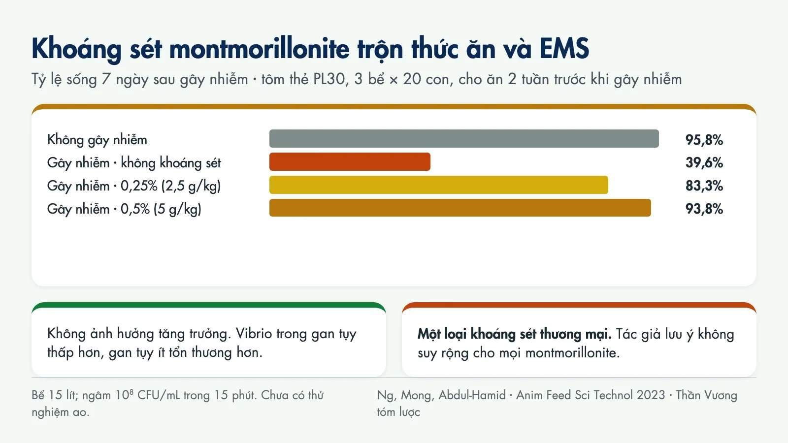 Biểu đồ tỷ lệ sống: không gây nhiễm 95,8%; gây nhiễm không khoáng sét 39,6%; gây nhiễm với 0,25% khoáng sét 83,3%; với 0,5% khoáng sét 93,8%