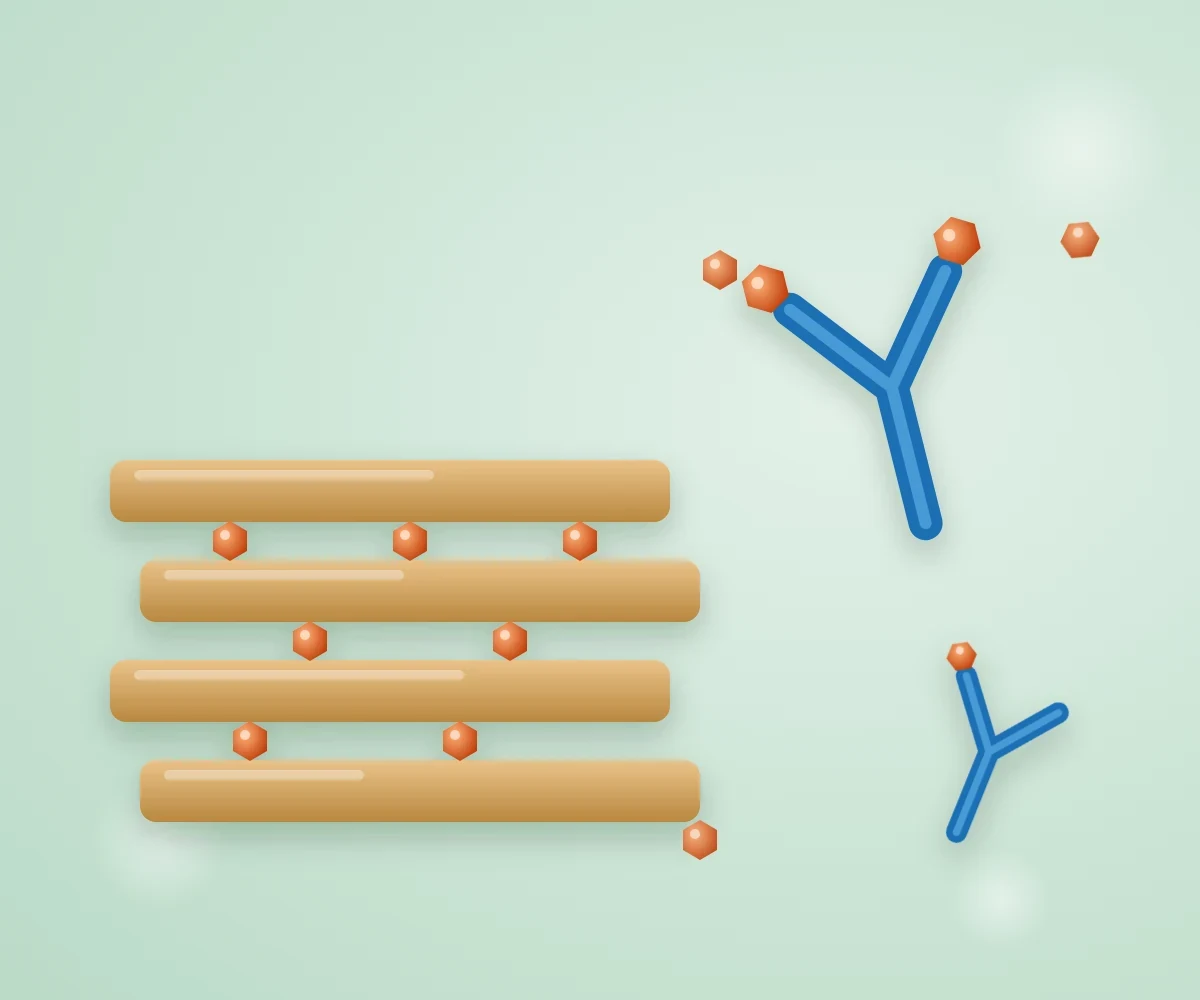 Binding and neutralising the Vibrio toxins behind EMS and TPD: clay, antibodies in feed and anti-virulence compounds — how strong is the evidence?