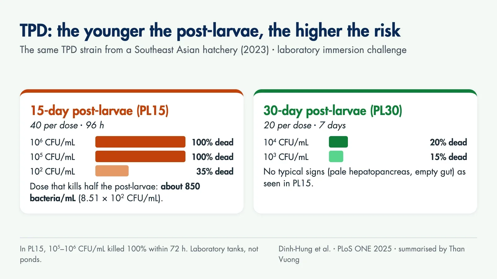 Chart: 15-day post-larvae died 100% at 10 to the 5 and 10 to the 6 CFU/mL and 35% at 10 squared CFU/mL; 30-day post-larvae peaked at 20% deaths at 10 to the 4 CFU/mL