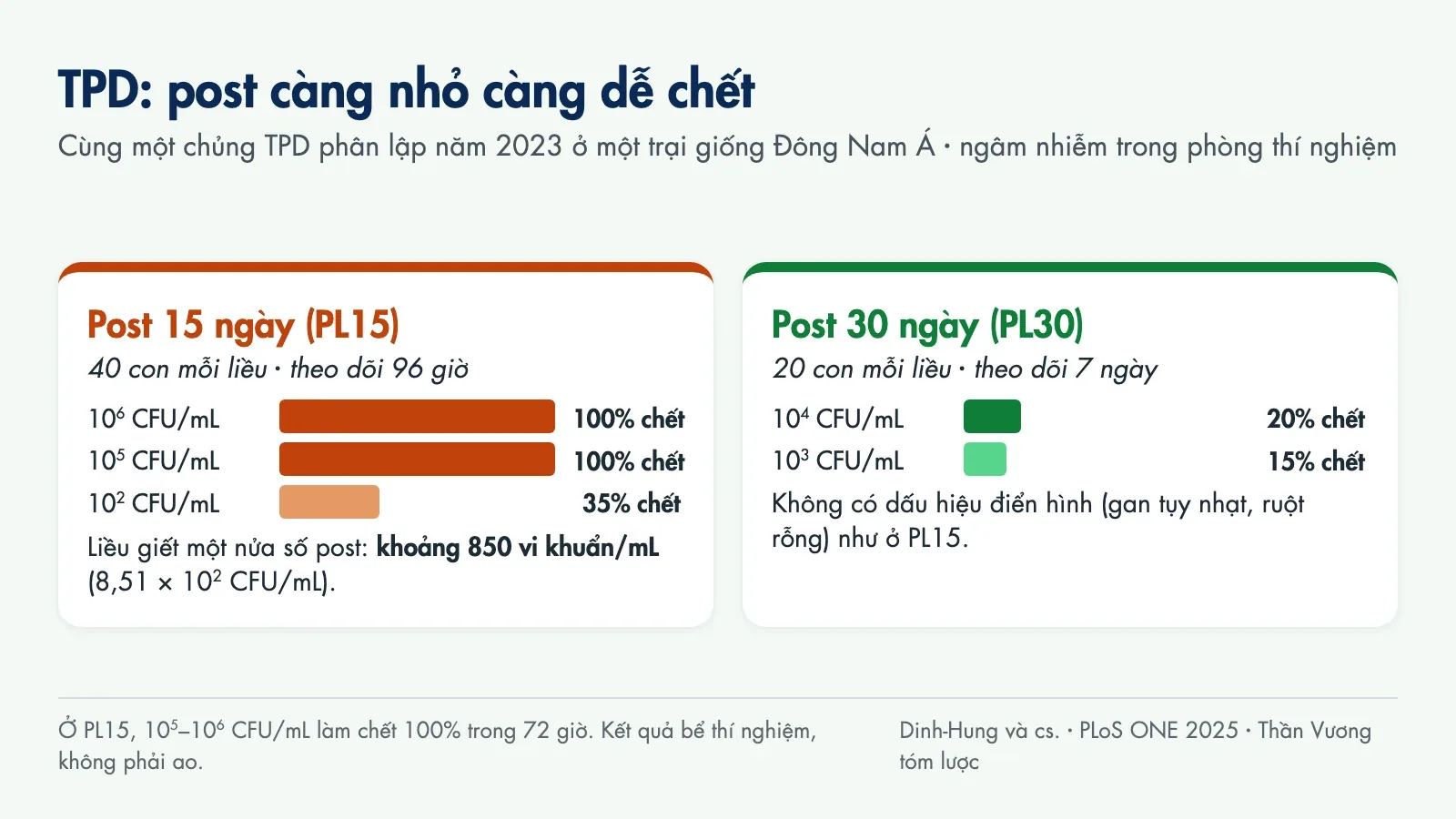 Biểu đồ: post 15 ngày chết 100% ở 10 mũ 5 và 10 mũ 6 CFU/mL, 35% ở 10 mũ 2 CFU/mL; post 30 ngày chết cao nhất 20% ở 10 mũ 4 CFU/mL