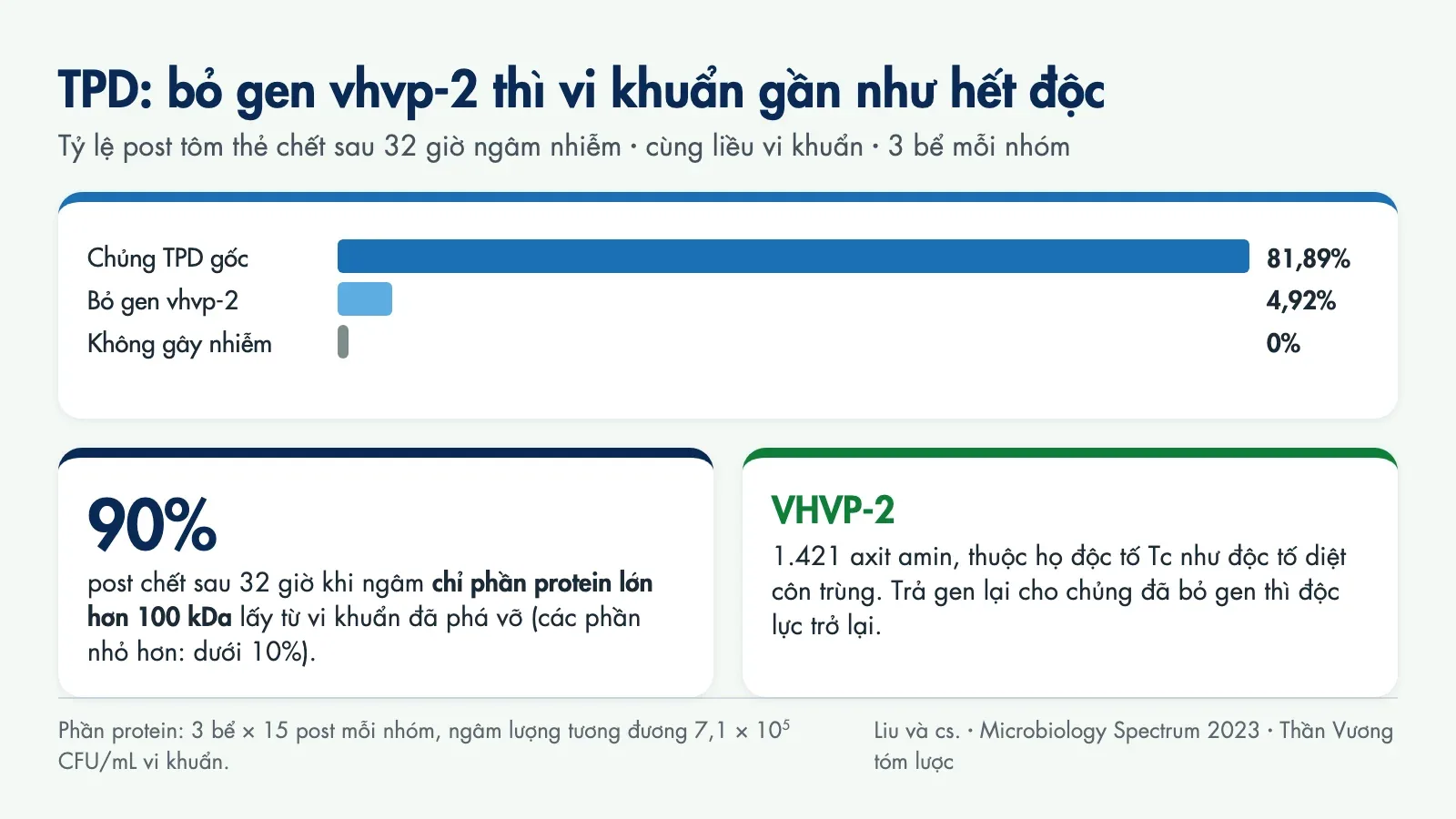 Biểu đồ: sau 32 giờ, chủng TPD gốc làm chết 81,89% post, chủng bị bỏ gen vhvp-2 làm chết 4,92%, nhóm không gây nhiễm 0%; riêng phần protein lớn hơn 100 kDa làm chết 90%