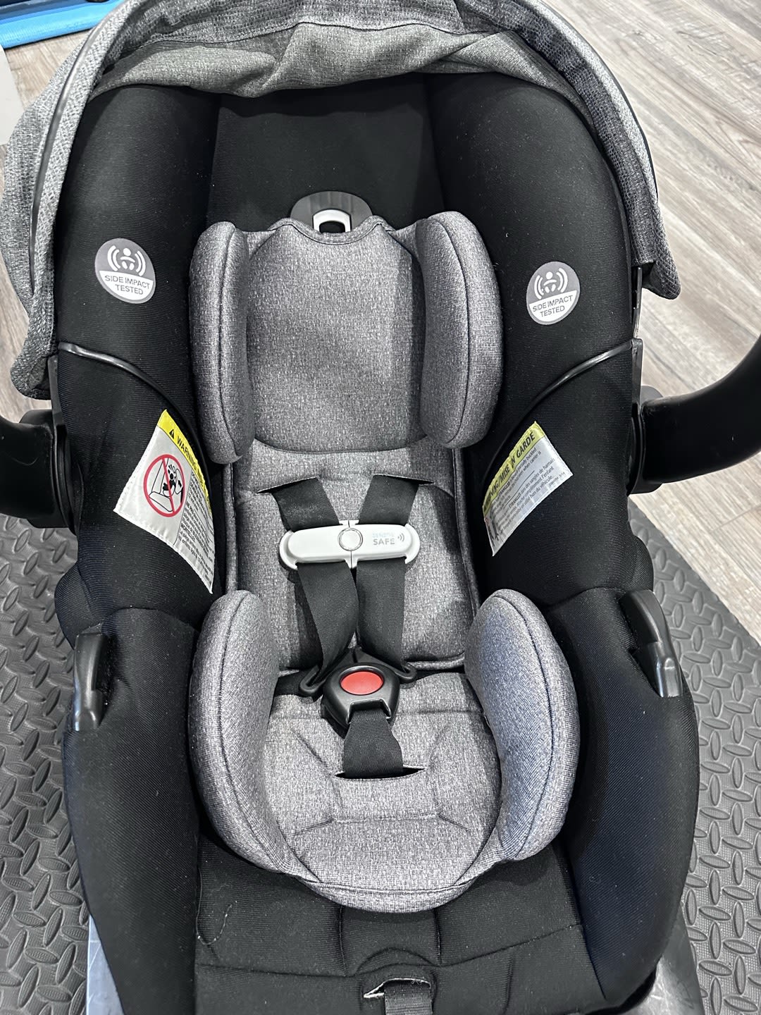 Evenflo LiteMax Gold + Base – Excelente Estado | Fabricado em 2024 — foto 2 de 3