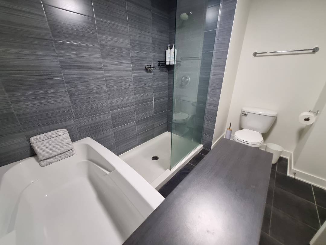 🏠 REPASSE DE APARTAMENTO – 2 QUARTOS EM SAINT-HENRI | VISTA PARA O CANAL LACHINE — foto 6 de 6