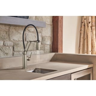 Brizo Litze Articulating Faucet