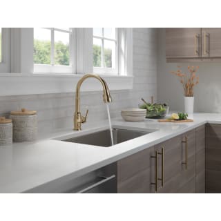 Single Handle Pull-Down Kitchen Faucet in Champagne Bronze 9190-CZ-DST