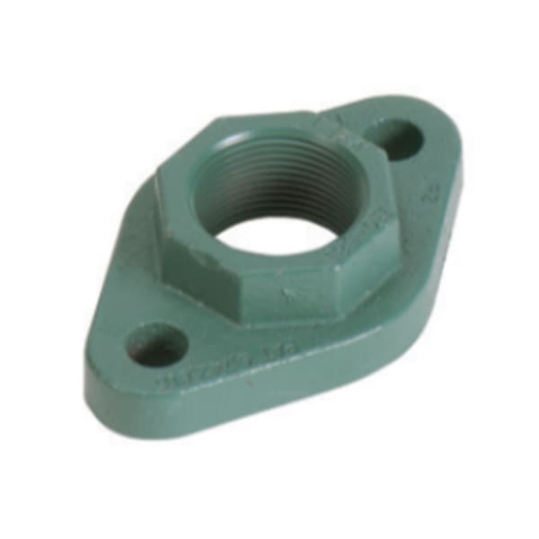 Freedom Flange Set - Cast Iron, 2 bolt, 1-1/2" NPT; Fits - All "00" (not 0012). 110-113, 2400-10/20/45/50, HEC-2, 007e, VT2218, VR1816, and VR3452