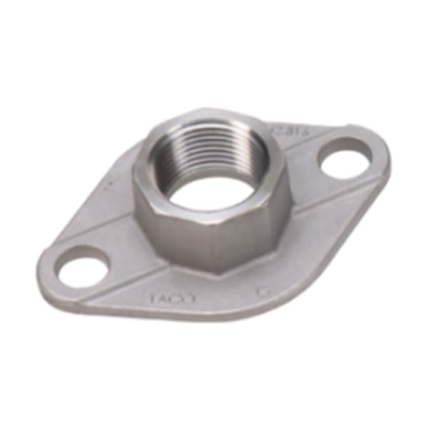 Freedom Flange Set - Stainless Steel, 2 bolt, 3/4" NPT; Fits - All "00" (not 0012). 110-113, 2400-10/20/45/50