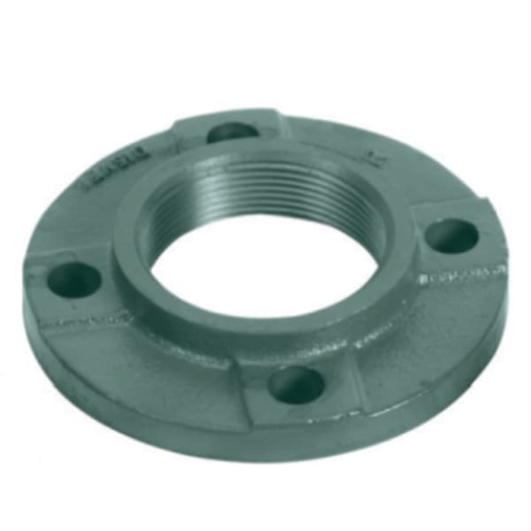 Freedom Flange Set - Cast Iron, 4 bolt, 2" NPT; Fits - 2400-60, 2400-65, 2400-70