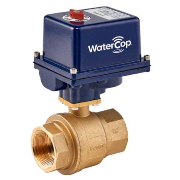 WaterCop 1-1/2" Valve