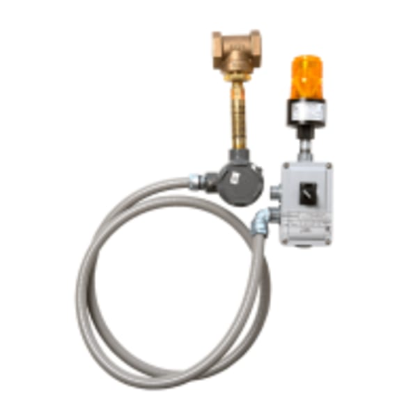 Leak Detection Valves