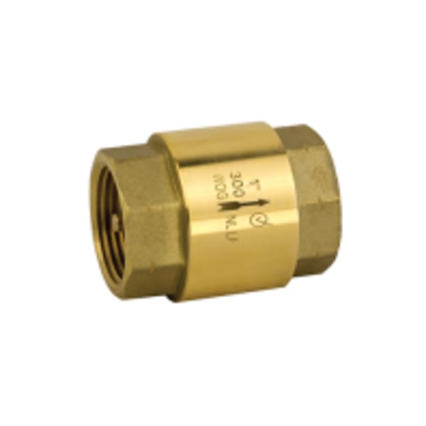 Check Valves