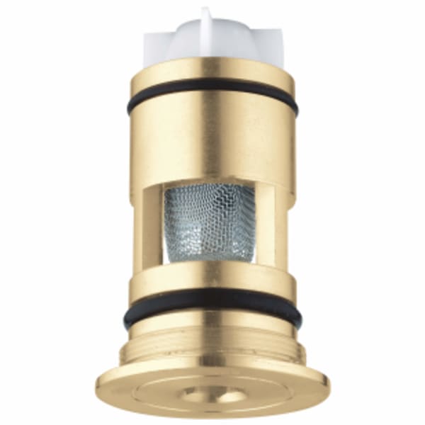 Non-Return Valve 3/4" in GROHE CHROME