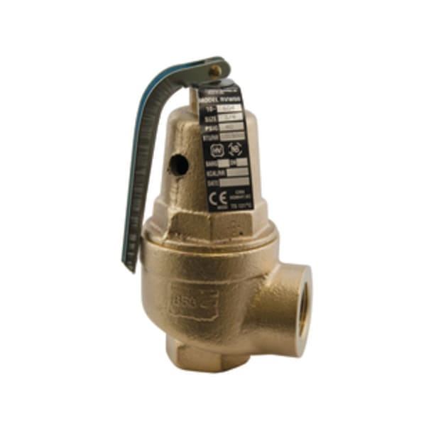Apollo Bronze Safety Relief Valve with Standard Outlet 75 psig 3/4" (2 x FNPT)