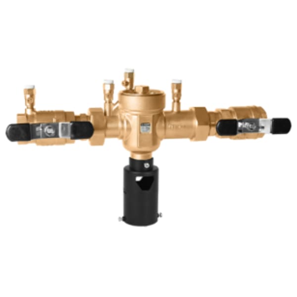 Downstream check valve 2" RPZ