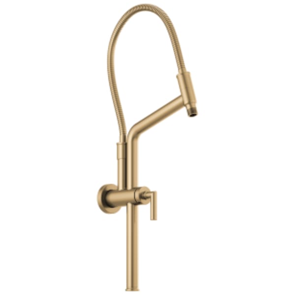 Brizo Essential™ 10 7/16" Linear Round Slide Bar Shower Arm And Flange Luxe Gold