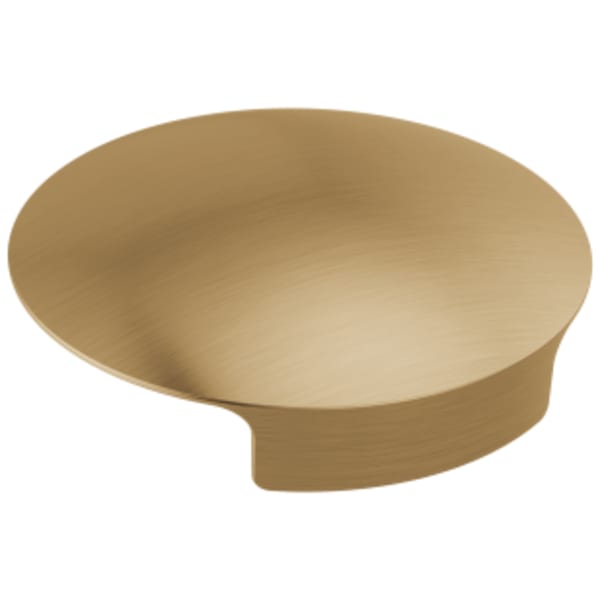 Delta Other: Glass Rinser Cover in Champagne Bronze