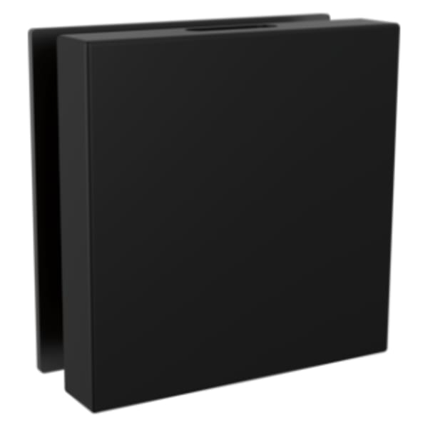 Brizo Mystix™ Square Steam Head Matte Black
