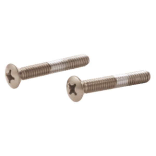 Delta Screws 2 Overflow Plate Stainless