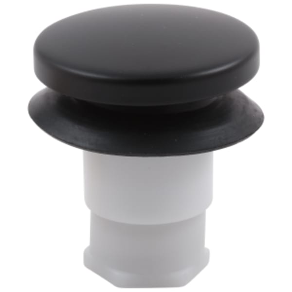 Brizo Other: Stopper Assembly in Matte Black