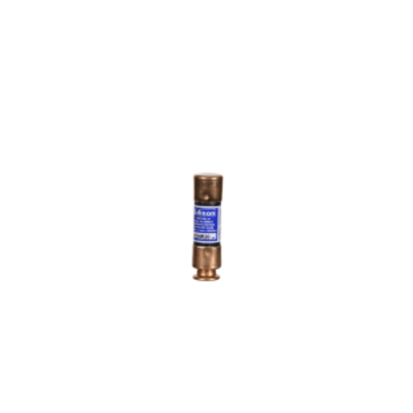 Time Delay Fuse 20Amps